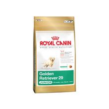 Royal Canin Golden Retriever Junior (Роял Канин Голден ретривер Юниор) сухой корм для щенков