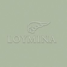 Обои флизелиновые Loymina Jetset JET7005