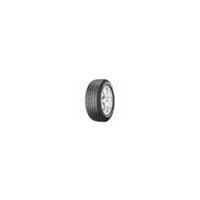 Шина Pirelli Winter 210 Sottozero 225 55R16 H