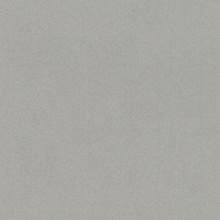 Обои виниловые Rasch Passepartout 607253