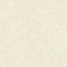 A45601 Обои Grandeco (Dorina) (1*6) 10,05х1,06  винил на флизелине