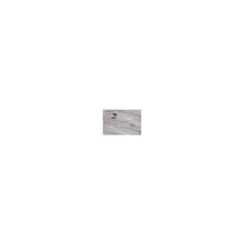 Ламинат Unistep Glossy толщина 12 мм Дуб Пепельный Глянец G 716