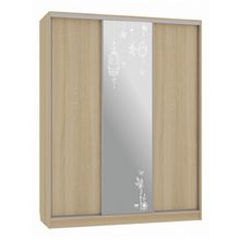 Mebelson Шкаф-купе Бассо 1-600 птицы ID - 338843