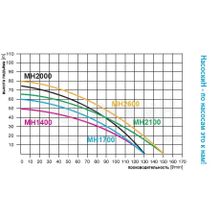 Поверхностный насос Omnigena MH 1700 230V