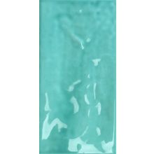 Tonalite Joyful Turquoise 10x20 см