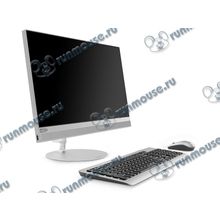 Моноблок Lenovo "ideacentre 520-24IKL" F0D1005YRK (Core i5 7400T-2.40ГГц, 8ГБ, 128+2000ГБ, R530, DVDRW, LAN, WiFi, BT, WebCam, 23.8" 1920x1080, W&apos;10 H) + клавиатура + мышь [141751]