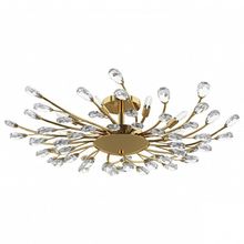 Lightstar Люстра на штанге Lightstar Isabelle 791182 ID - 390154