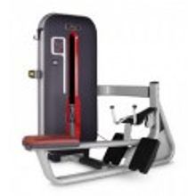 Bronze Gym MT-012A