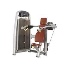 Bronze Gym A9-003a Дельта-Машина