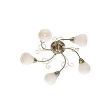 Потолочный светильник Odeon Dovera 2470 5C