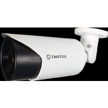 Видеокамера TANTOS TSi-Pe2VP (5-50)