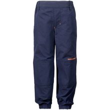 DIDRIKSONS 1913 Брюки MASEN 501366 039