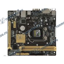 Мат. плата Socket1150 ASUS "H81M-R C SI" (iH81, 2xDDR3, SATA III, SATA II, PCI-E, D-Sub, DVI, 1Гбит LAN, USB3.0, mATX) (oem) [128662]