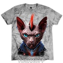 CASSOWARY Australia Punk Sphynx