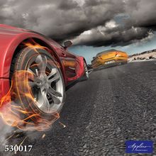 Фреска Applico 530017