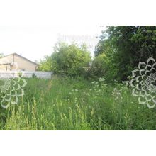 Ярославское, 13 км от МКАД, Мытищи г.о. Свиноедово, Размер участка: 8 сот.