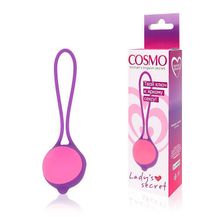 Bior toys Фиолетово-розовый вагинальный шарик Cosmo (фиолетовый с розовым)