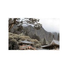 Декор 1 Бамбук бежевый 25х40 (15шт) Н71311