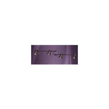 Svetresurs 402-509-04 Snowdrops спот (поворотный светильник)