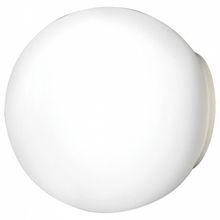 Lightstar Накладной светильник Lightstar Globo 803010 ID - 390208