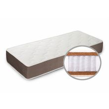 Basis 3 Latex 2 multi | Wilordy.ru