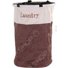 Patricia Laundry