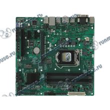 Мат. плата Socket1151 ASUS "PRIME B250M-C" (iB250, 4xDDR4, M.2, SATA III, PCI-E, D-Sub, DVI, HDMI, DP, 1Гбит LAN, USB3.0, mATX) (ret) [137346]