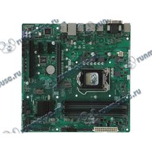 Мат. плата Socket1151 ASUS "PRIME B250M-C" (iB250, 4xDDR4, M.2, SATA III, PCI-E, D-Sub, DVI, HDMI, DP, 1Гбит LAN, USB3.0, mATX) (ret) [137346]