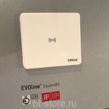 Встраиваемая розетка Evoline Square80 с Qi-зарядкой (927.00.024) белая