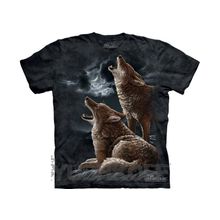 Mountain Howling Coyotes