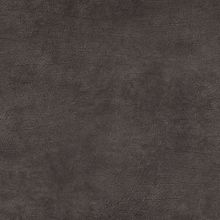 Обои BN 17937 Curious