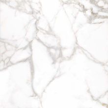 Arcana Marble Borghini Blanco 60x60 см