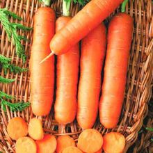 Морковь без сердцевины Пралине F1, семена