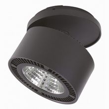 Lightstar Forte Inca LED 213827