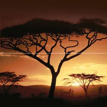 Керамическая плитка Ceramica Classic Africa P2-2D210 (из 2 плиток) панно 40х40