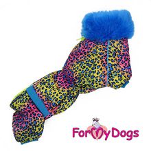 Теплый комбинезон для таксы ForMyDogs Лео мальчик синий FW321-2015 M