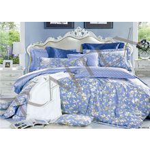 Постельное белье Сатин Де Люкс 3D Семейный SSPD-023-4 Rajtex