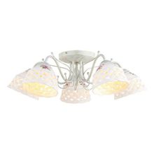 Потолочный светильник Arte Lamp A6616PL-5WG WICKER