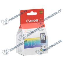 Картридж Canon "CL-513" (3 цвета) для PIXMA MP240 MP260 MP480 (13мл) [80467]