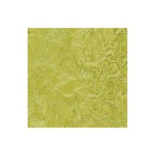 Forbo Marmoleum Dual 330 х 330 мм