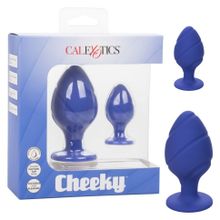 Набор из двух синих анальных пробок Cheeky (235352)