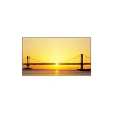 LCD панель Samsung 460UT-B