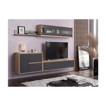 Олмеко Гостиная Берта-2 дуб сонома диамант серый