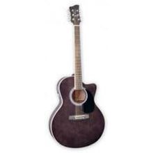 JayTurser by Washburn JTA-424CET-BLK