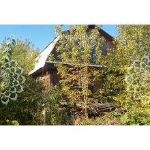 Симферопольское, 55 км от МКАД, Чехов г.о. Новоселки, дом, Площадь дома: 100 кв.м. Размер участка: 20 сот.