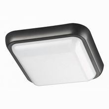 Novotech Opal 357509