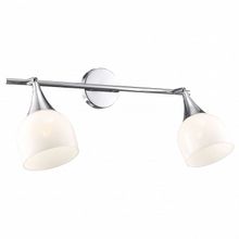 Arte Lamp Спот Arte Lamp Trumpet A9556AP-2CC ID - 414166