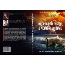 Идеальный лебедь в черном шторме. Практика саморазрушения государства. Издание 3-е, дополненное и расширенное. Мартынов А.А., Газенко Р.В.