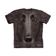 Mountain Black Greyhound Face