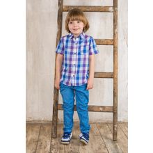 Sweet Berry синие